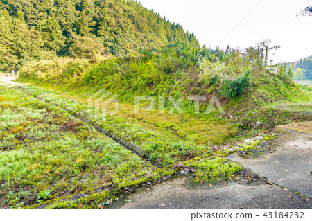 Ichijodani Castle Kamijoto Ichijodani Castle Kamijoto 43184232