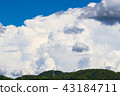 Summer blue sky 43184711