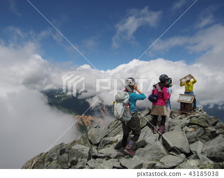 紀念照片被採取在玫瑰的一角 43185038