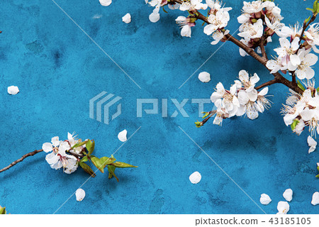 Grunge floral background 43185105
