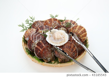 Salad with Scallop (scallops from Aomori Prefecture) Salad and Tong 43185543