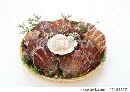 A scallop of scallops with scallops (Aomori Prefecture) 43185557