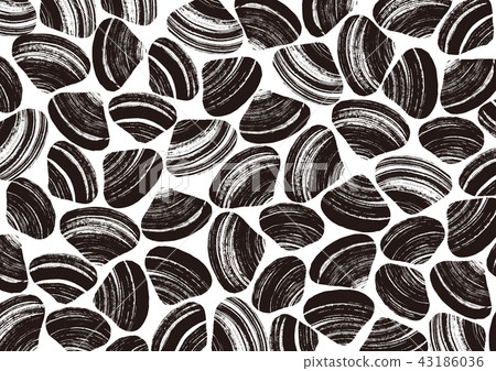 貝類水彩畫 43186036