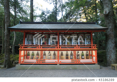 美國神宮靖國神社清酒桶奉獻大分 美國神宮靖國神社清酒桶奉獻大分 43186289