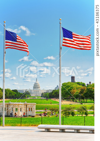 Washington, USA, United States Capitol Washington, USA, United States Capitol 43186375