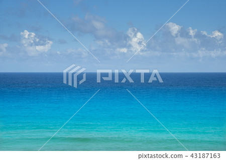 仲夏加勒比海 43187163