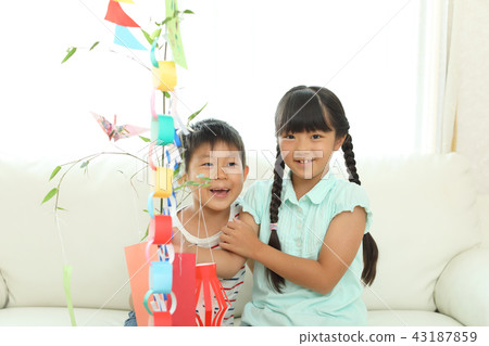 A girl and a boy making Tanabata decorations A girl and a boy making Tanabata decorations 43187859