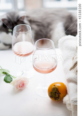 Two glasses of wine and a large bouquet of roses and a house cat near the window. Free space for Two glasses of wine and a large bouquet of roses and a house cat near the window. Free space for 43188100