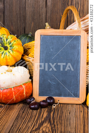 Autumn harvest motive with various pumpkins Autumn harvest motive with various pumpkins 43188272