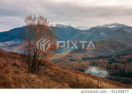 gloomy late autumn scenery 43188977