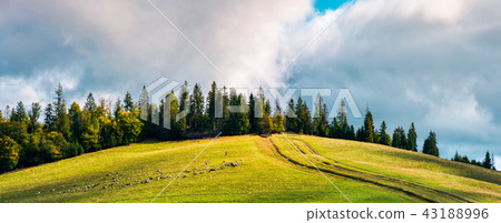 country road in mountains 43188996