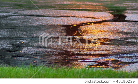 Rain drops fall into puddles selective focus 43190259
