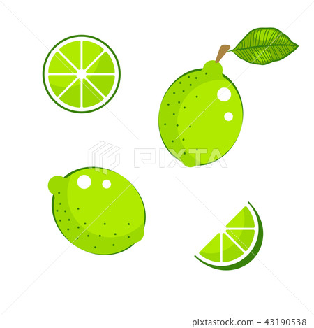 Lime with green leaves and slices isolated on white vector. 43190538