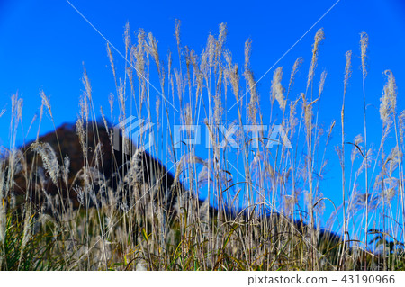 風景故事里山秋天 風景故事里山秋天 43190966