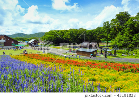 Aya小山和藍天 43191828