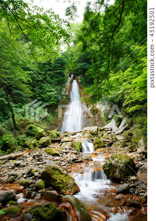 Iwateyama Nakataki Hachimantai City Iwate Prefecture 43192501