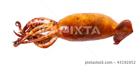 cooked squid close-up 43192852