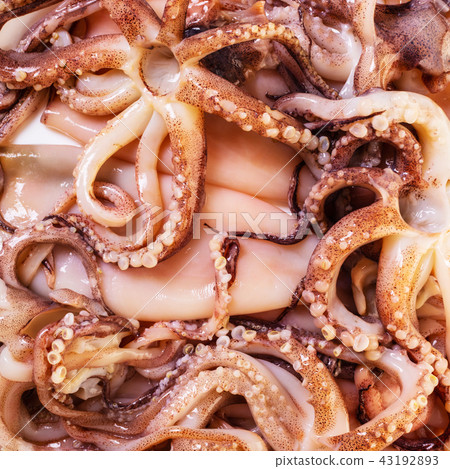 raw squid prepared for cooking 43192893