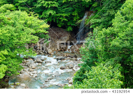 Matsukawa谷的看法從Ohashi橋樑的在森林裡 43192954