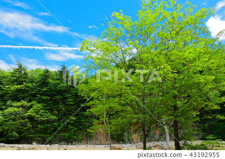 岩手谷玄武岩柱狀岩灘縣八幡平 43192955