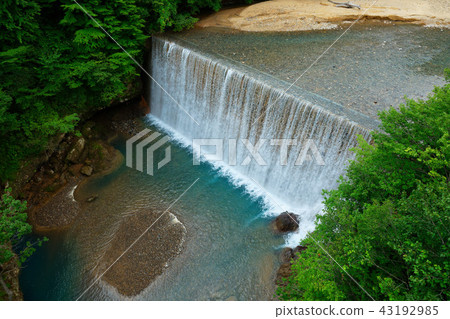 Hachimantai, Iwate Prefecture, overlooking Matsukawa Valley from Ohashi in the forest 43192985