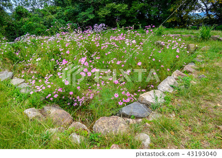 Scenery of Tottori castle castle tower Scenery of Tottori castle castle tower 43193040