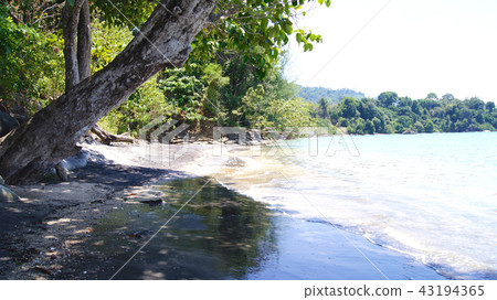 PULAU LANGKAWI, MALAYSIA - APR 7th 2015: Famous black sand beach 43194365