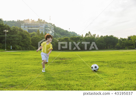Children, Children, Boys, Boys, Soccer Boys, Children's Soccer, Soccer Ball, Ballroom, Outdoor Ballroom, Lawn, Outdoor Activity 43195037