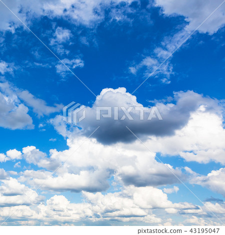 cumulus gray rain and white clouds in blue sky cumulus gray rain and white clouds in blue sky 43195047