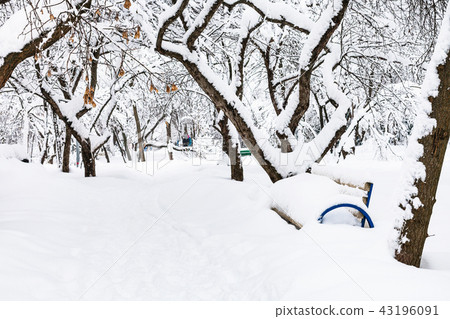 footpath in snow-covered public urban garden 43196091