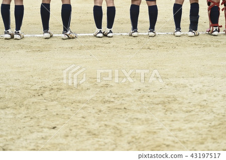 棒球 棒球 43197517