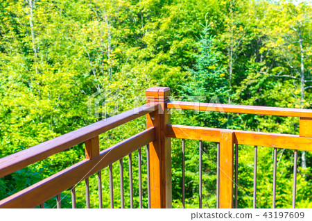 Scenic view of the handhold and green forest in Qu 43197609
