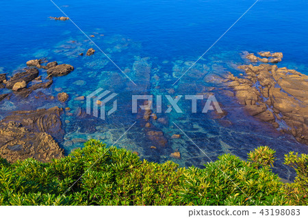 Cape Dagli [鹿兒島縣的Shibushi市] 43198083