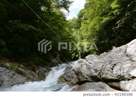 Tanzawa's secret area Tanzawa's secret area 43198306