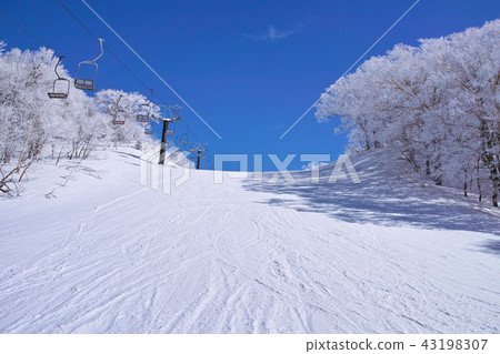 滑雪纜車和白霜坡 43198307