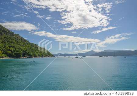 菲茨羅伊島 43199052