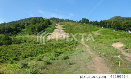 Mount Naeba, summer slope 43199914
