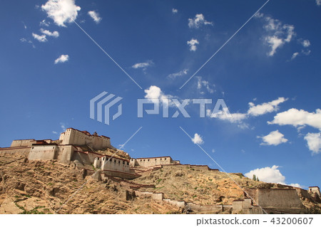 西藏吉安澤 西藏吉安澤 43200607