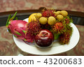 Tropical fruits 43200683