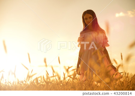 Woman in wheat field at sunset 43200814