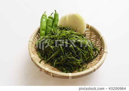 土豆，青椒，洋蔥，室內，靜物 43200964