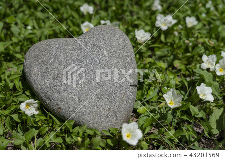 心形石(Heartstone) 心形石(Heartstone) 43201569