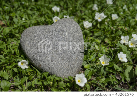 心形石(Heartstone) 心形石(Heartstone) 43201570