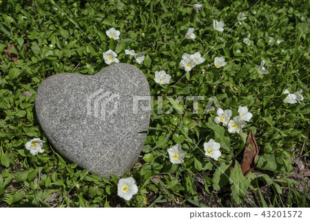 心形石(Heartstone) 心形石(Heartstone) 43201572