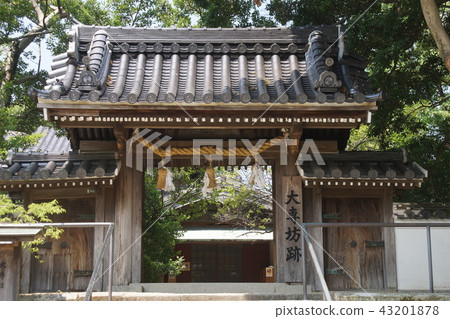 Great exclusive trace Great exclusive trace 43201878