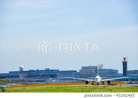 Narita Airport Airplane 43202483