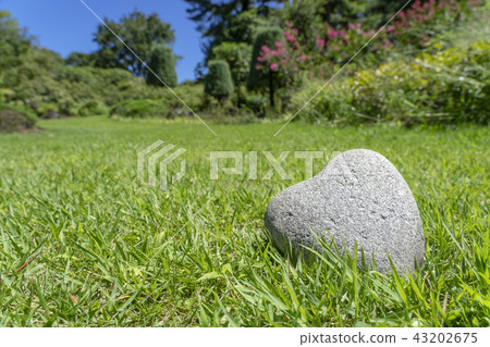 Heart shaped stone (Heartstone) Heart shaped stone (Heartstone) 43202675