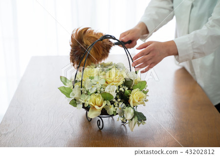 拍打清潔 43202812