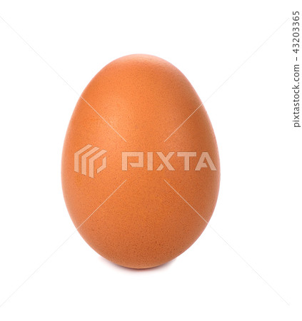 egg isolated on white background 43203365