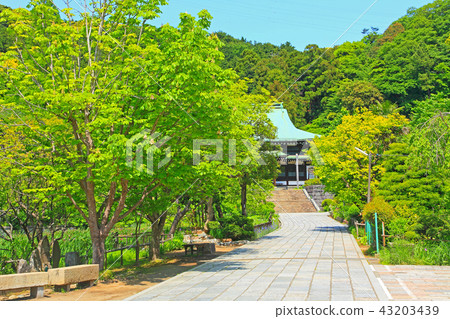 從Ryuzenji寺的入口看大廳 從Ryuzenji寺的入口看大廳 43203439